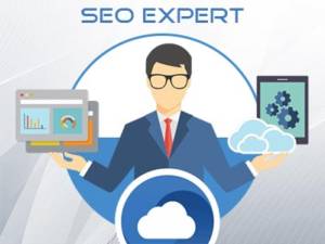 seo-expert